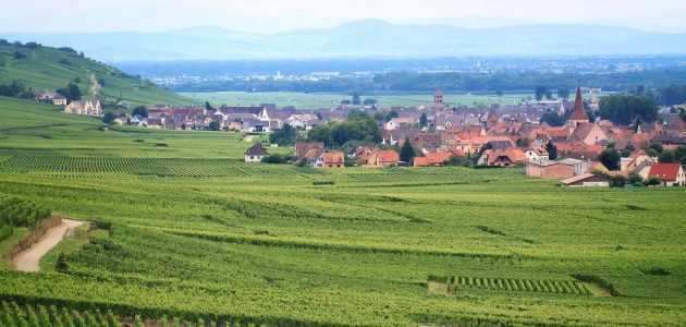 vinskim-putevima-alasaca