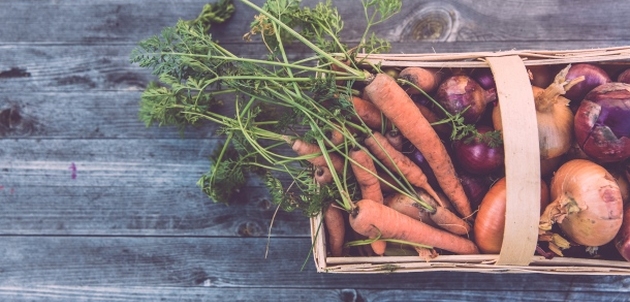Želite naručiti organsku i domaću hranu: pogledajte gdje kupiti meso, mlijeko, med, povrće, voće