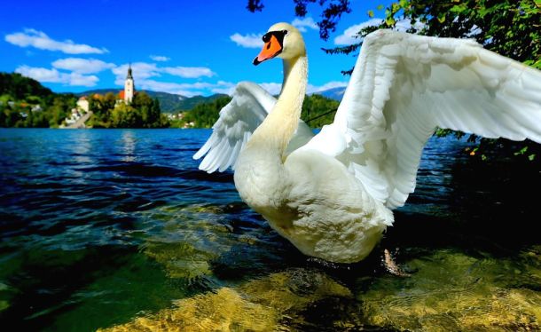 bled-23