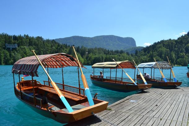 bled-24