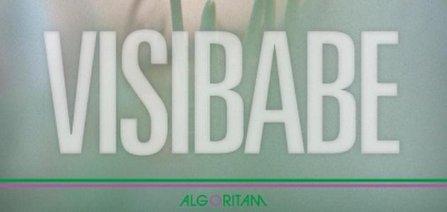 Visibabe