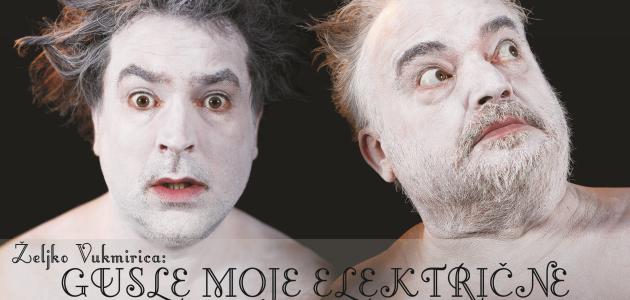 Gusle moje električne
