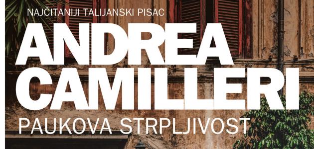Paukova strpljivost