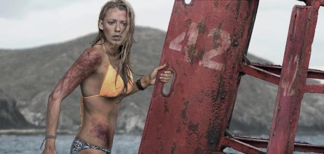 the-shallows