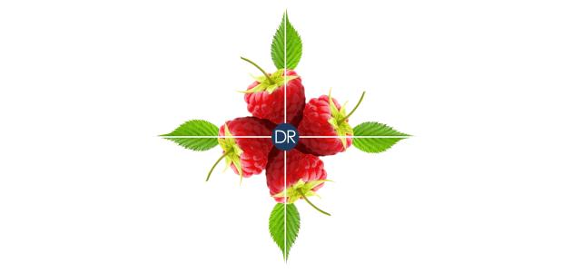 Dr Renaudov hidratantni sorbet od malina