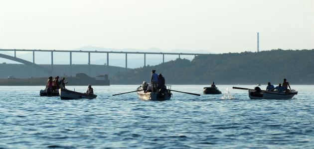 Jakovarska vesla