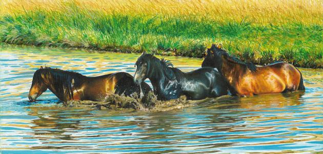 Izložba Ivice Vlašića