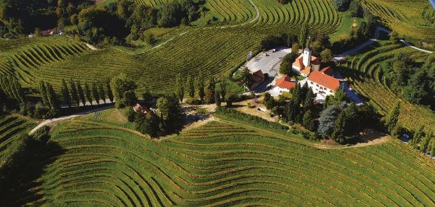 Priča koja ne dopušta da ju zaobiđete