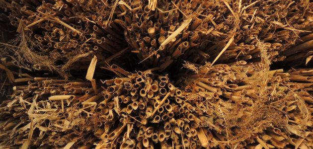 Odlazimo na izložbu „Središte okolnosti“