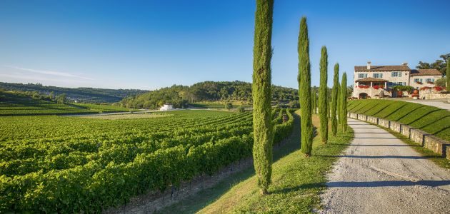 Vinarija Kabola ušla u uži izbor za Luxury Lifestyle Awards 2018.