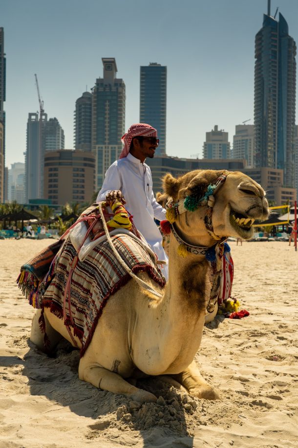 dubai plaza deva