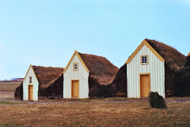 minijaturne-kuce-1