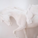 DSCF7857 DSCF7857