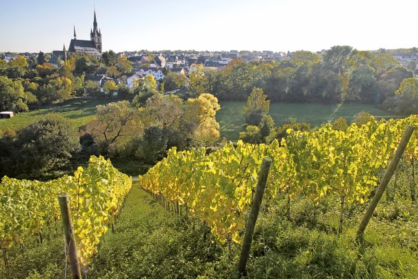 kiedrich-rheingau