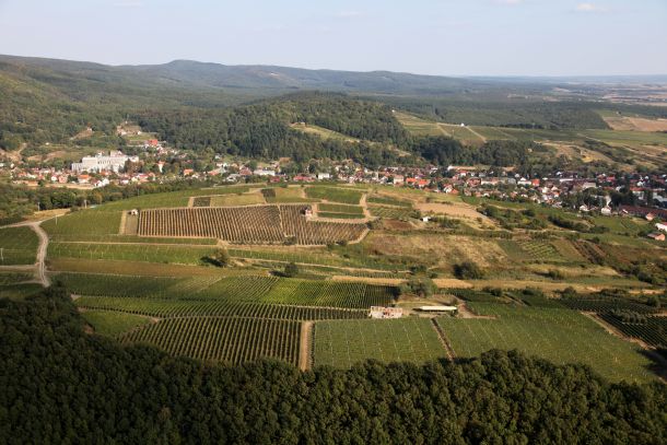 vinarija-krauthaker-kutjevo