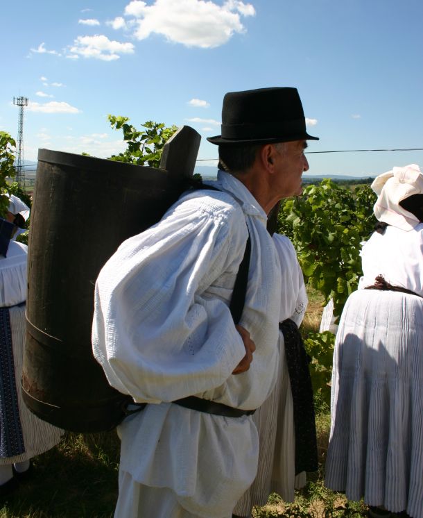Berba