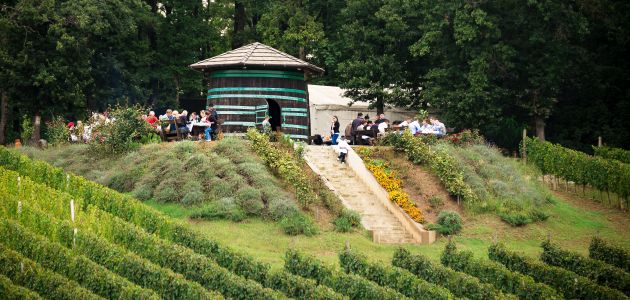 Sve što niste znali o Požeško-slavonskoj županiji