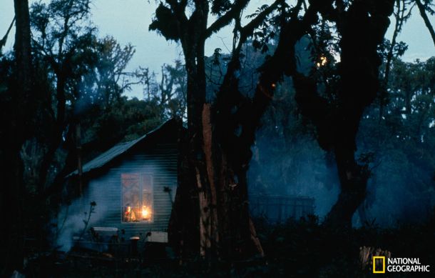 dian-fossey-6