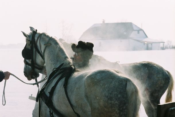 vojvodina-2