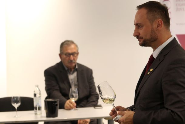 vlado-krauthaker-mario-mestrovic