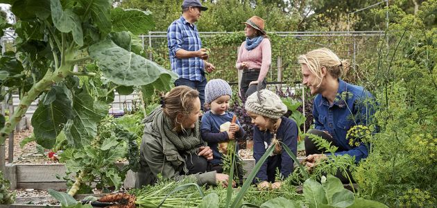 burnside-organic-farm