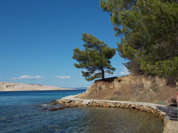 kolocep