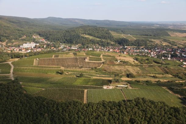 kutjevacko-vinogorje