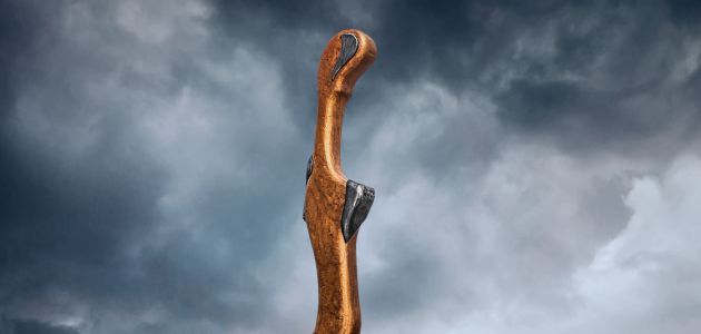 Izložba Stephana Lupina