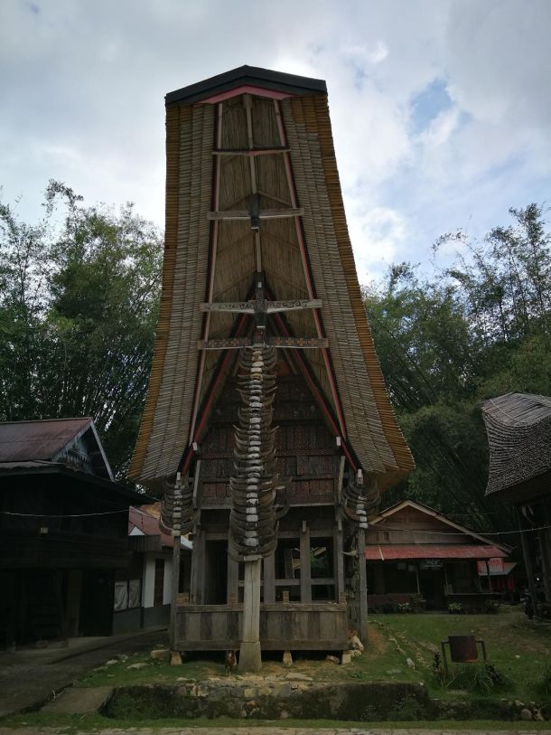 rogovi