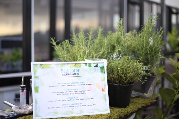 belvedere-rooftop-garden-1