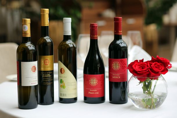 vina-krauthaker-1