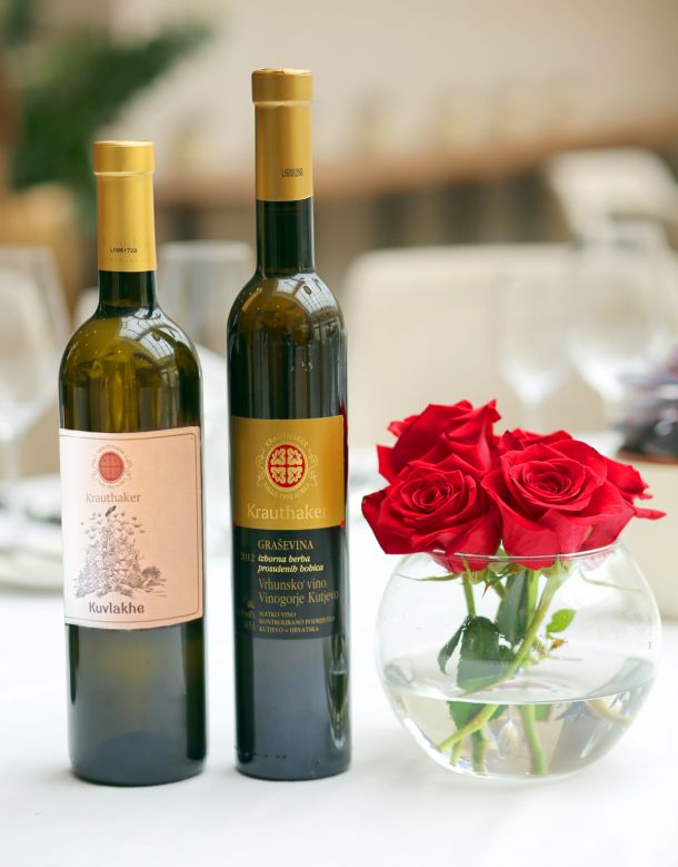 vina-krauthaker-2