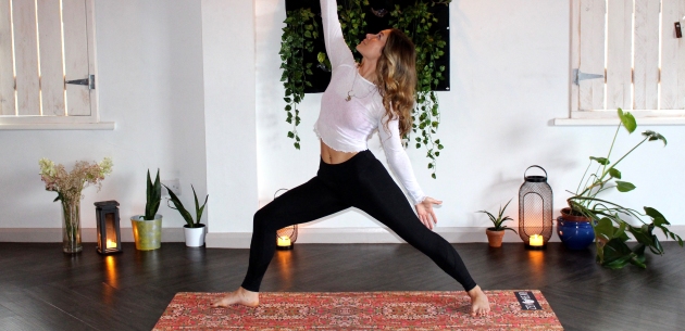 yoga joga tipovi joge stilovi yoge