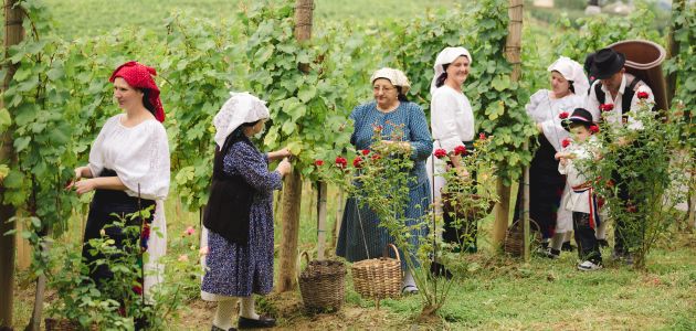 cesta-ruza-vina