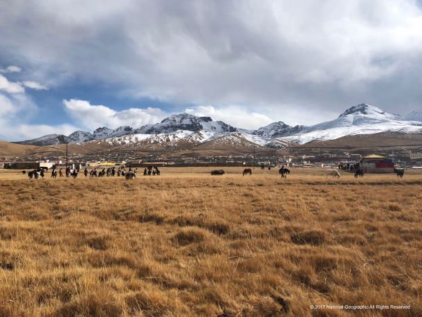 jackie-chans-green-heroes-2