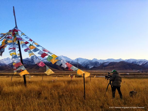 jackie-chans-green-heroes-5