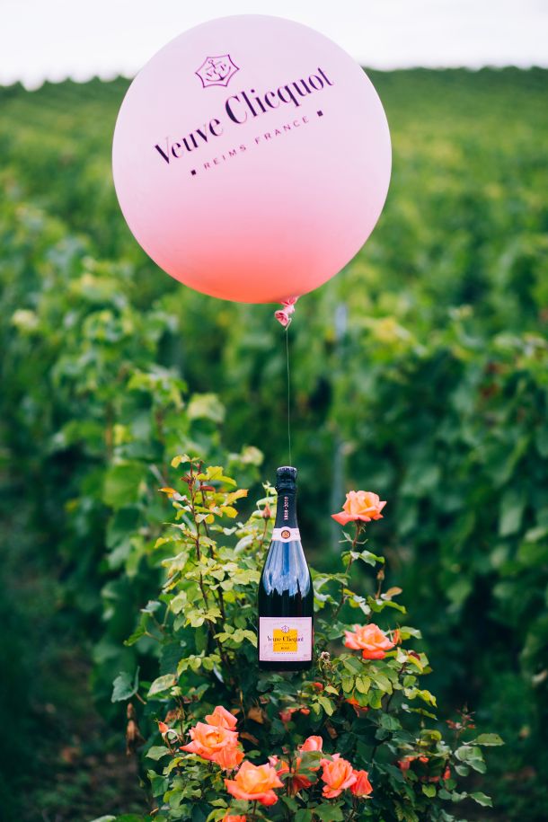 VCP-ROSEVISUAL-VINEYARD-1