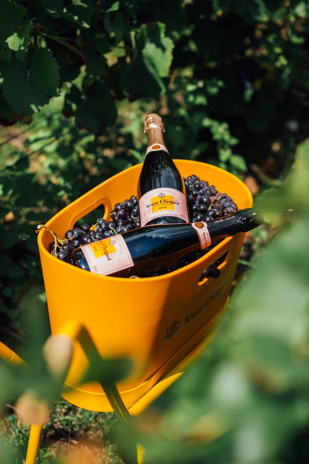 VCP-ROSEVISUAL-VINEYARD-4