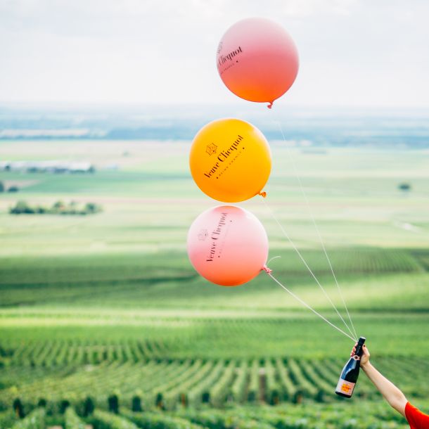 VCP-ROSEVISUAL-VINEYARD-8