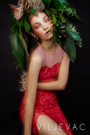 d-viljevac-kampanja-9