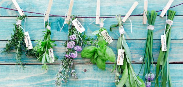 jesenske biljke sadnja