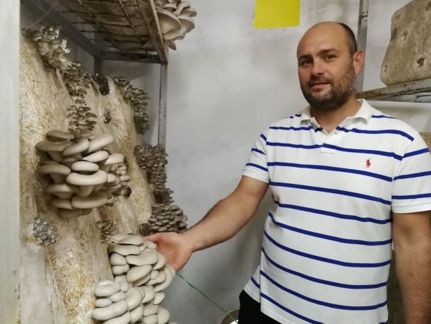 tihomir-tucman-gljive-2