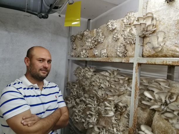 tihomir-tucman-gljive-4