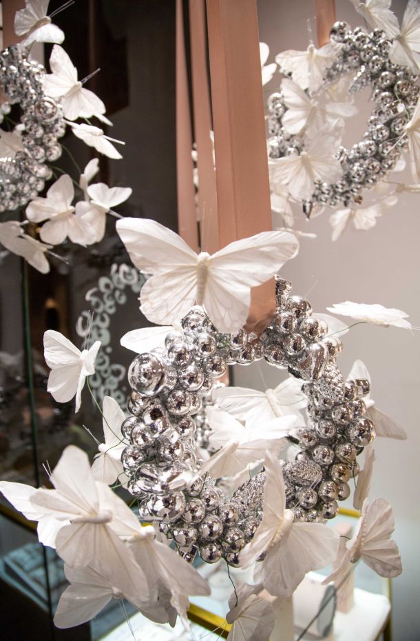 borboleta-sekoranja-4