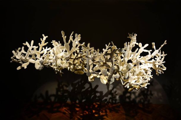 petar-dolic-palmizana-1