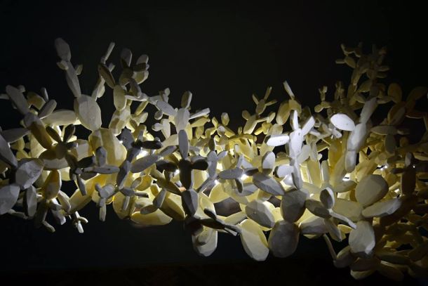 petar-dolic-palmizana-2