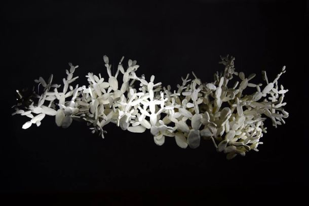 petar-dolic-palmizana-4