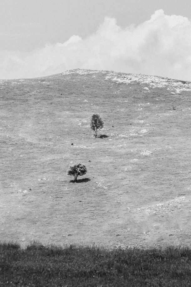 fotografije-mirna-bartolic-11