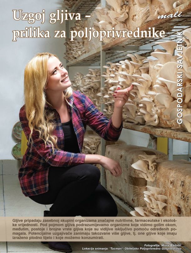 fotografije-mirna-bartolic-14