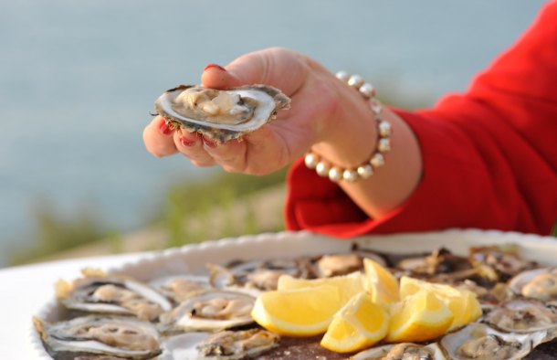 dubrovnik-faest-wine-3